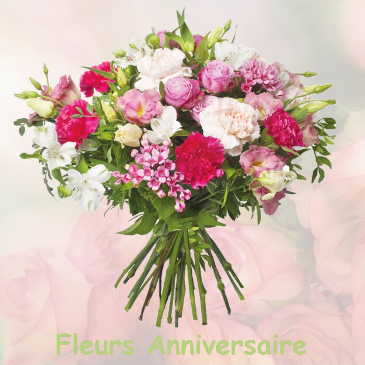 fleurs anniversaire SAINT-JEAN-MIRABEL